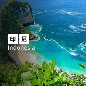 印尼 無限流量 WiFi蛋