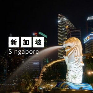 新加坡 2GB WiFi蛋