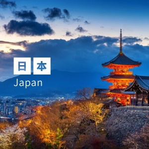 日本 無限流量 WiFi蛋
