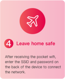 Handheld wireless network rental process