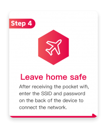 Handheld wireless network rental process