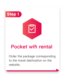 Handheld wireless network rental process
