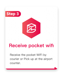 Handheld wireless network rental process