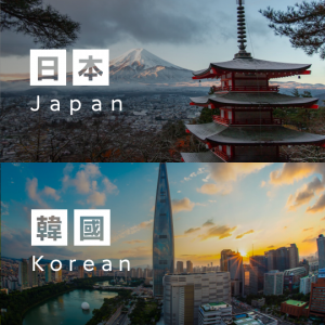 日韩通用 無限流量 WiFi蛋